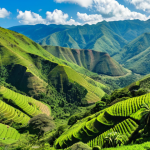 **

"Lush Angolan highlands landscape with rolling green hills, coffee plantations, a waterfall in the distance, and diverse wildlife. The sky is clear blue with scattered clouds. Capture the temperate climate and natural beauty."

**
